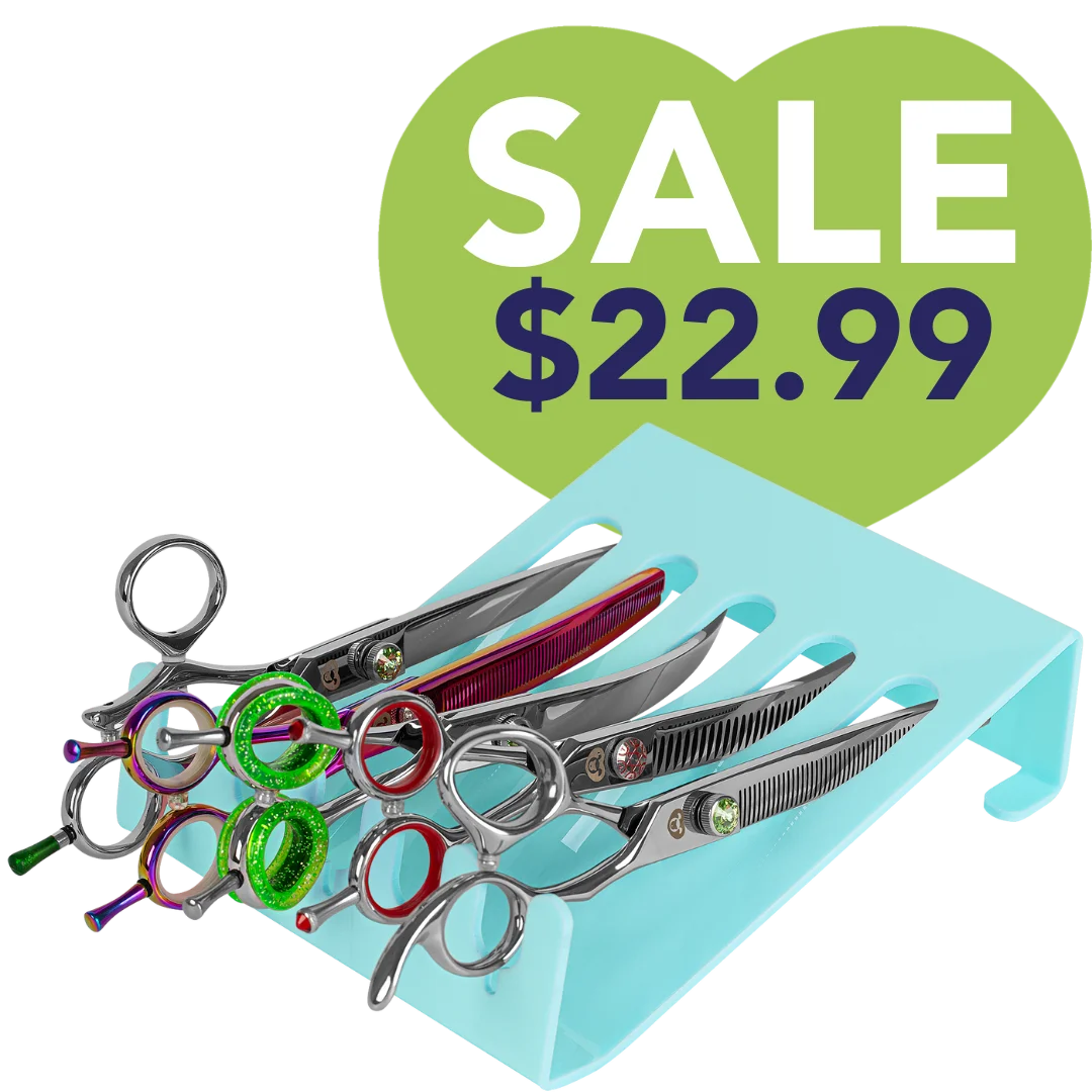 5-scissor-holder-drawer-and-table-aqua-by-petstore-direct