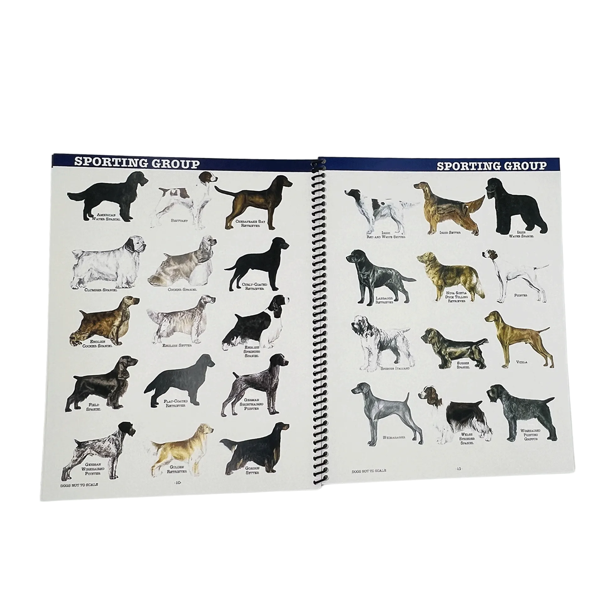 The Client’s Guide to Dog Grooming Styles by Sam Kohl 2nd Edition