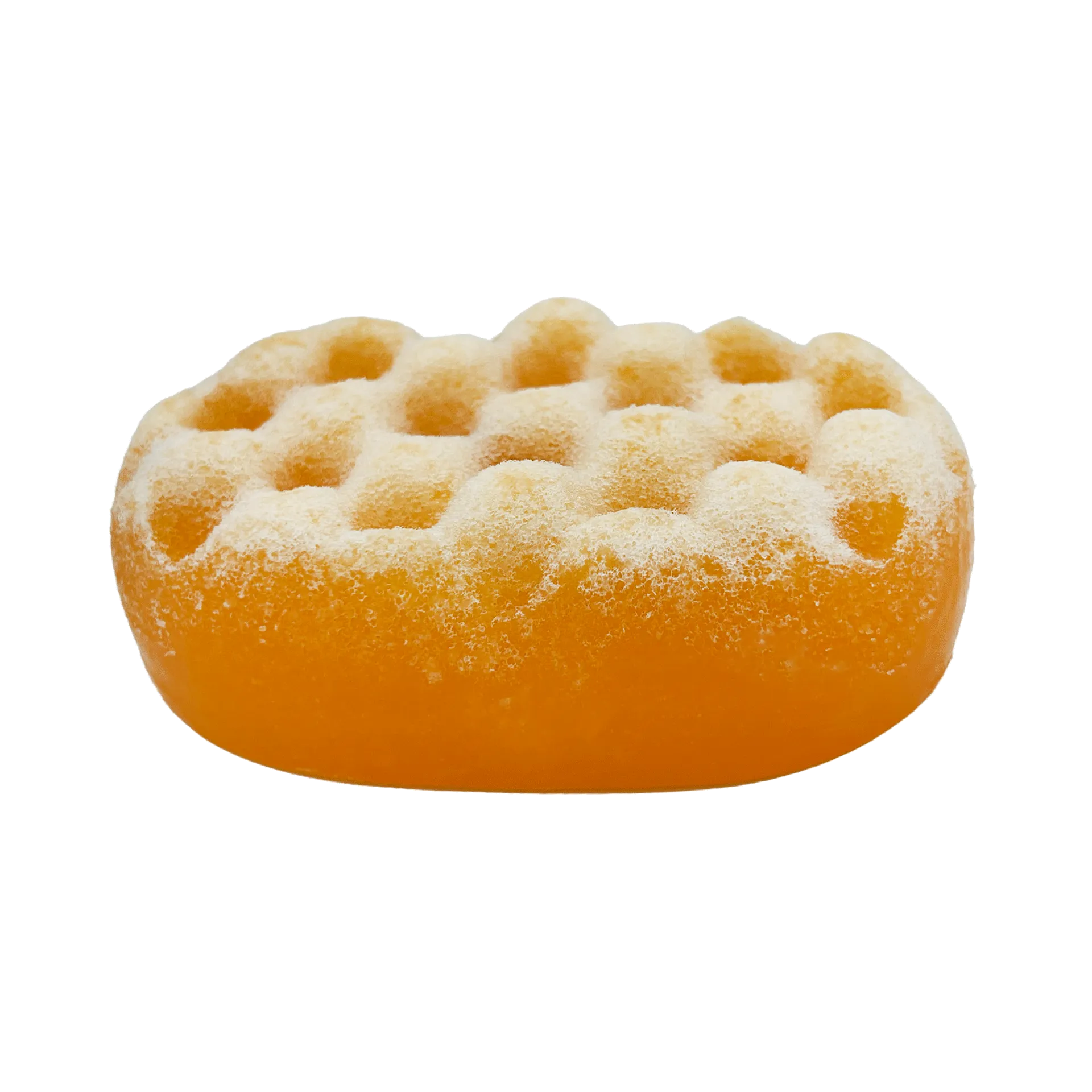 Sweet Orange Essential Oil Wash Sponge by Dog Fashion Spa