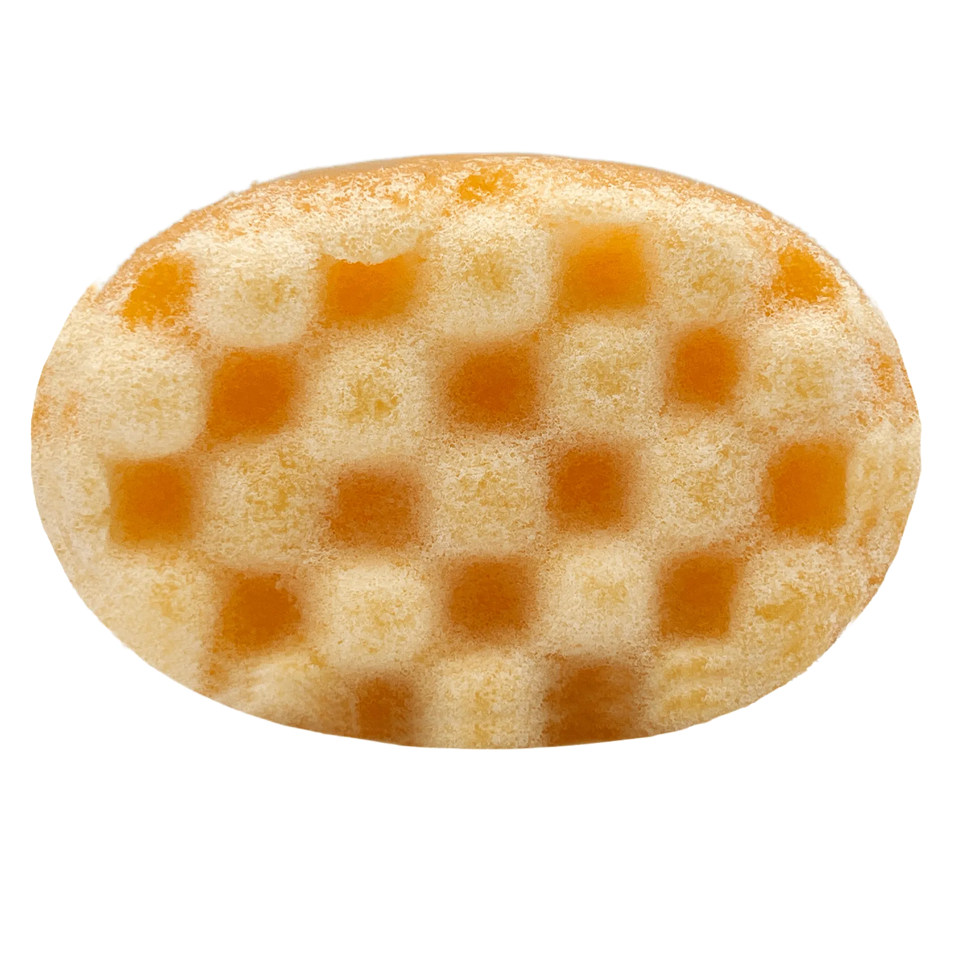 Sweet Orange Essential Oil Wash Sponge by Dog Fashion Spa