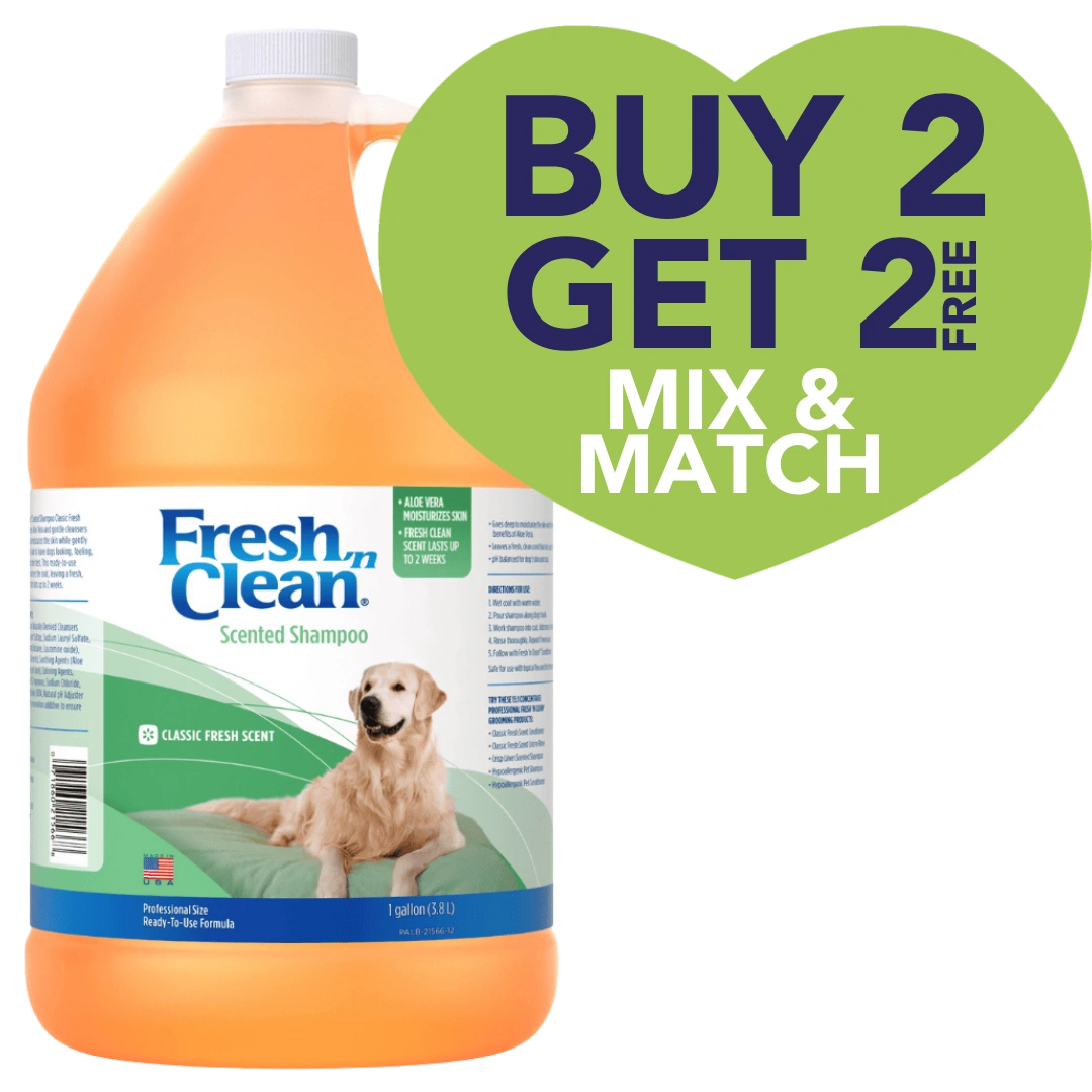 Scented Shampoo Classic Fresh Scent Ready to Use Gallon by Fresh 'n Clean