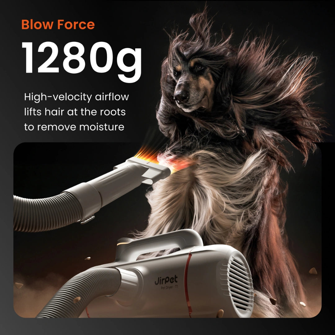 jirpet-twin-titan-force-dryer-for-dogs