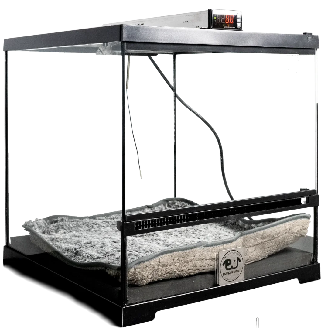 Puppy Incubator 18