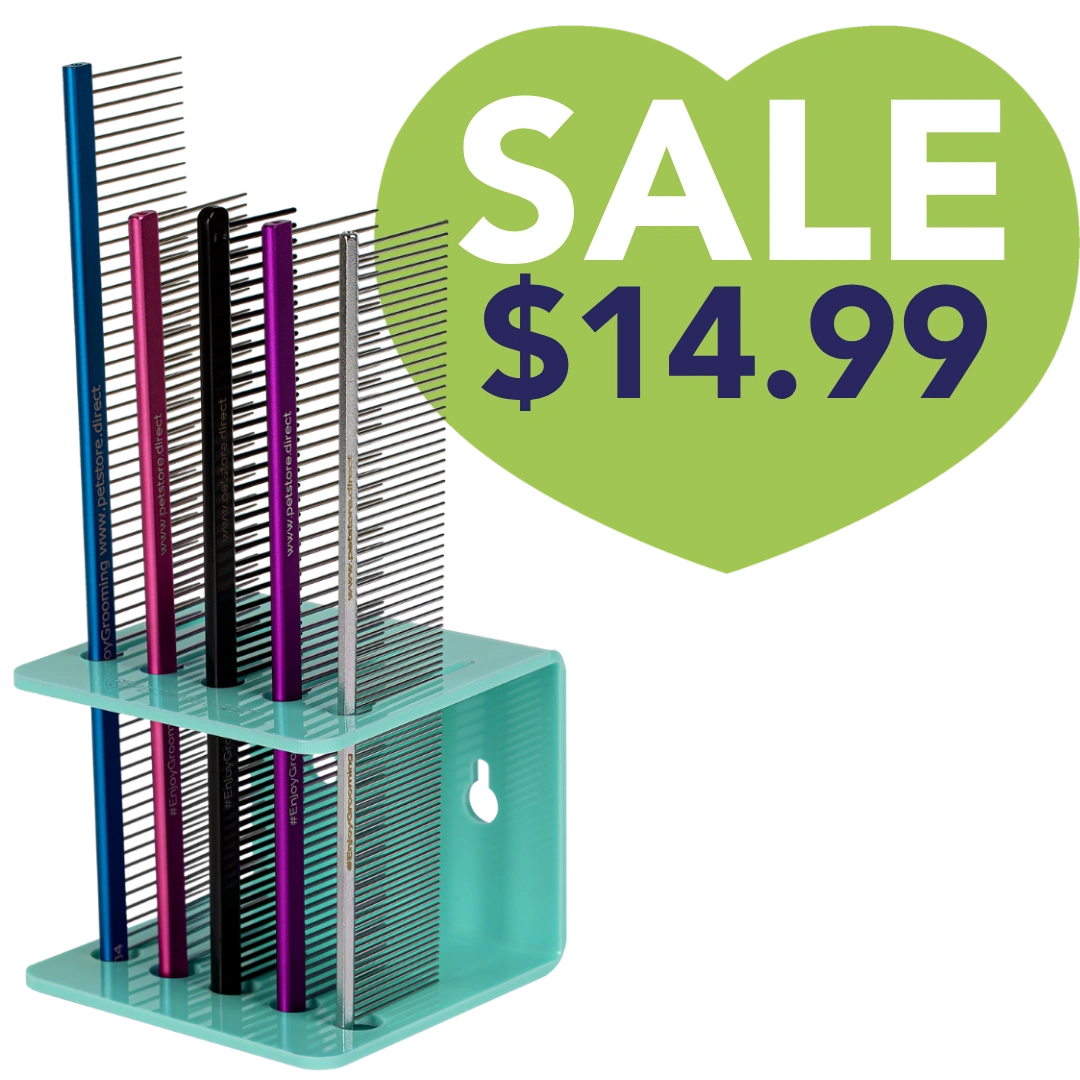 Acrylic 5 Comb Holder Tabletop and Wall Mount Aqua by PetStore.Direct