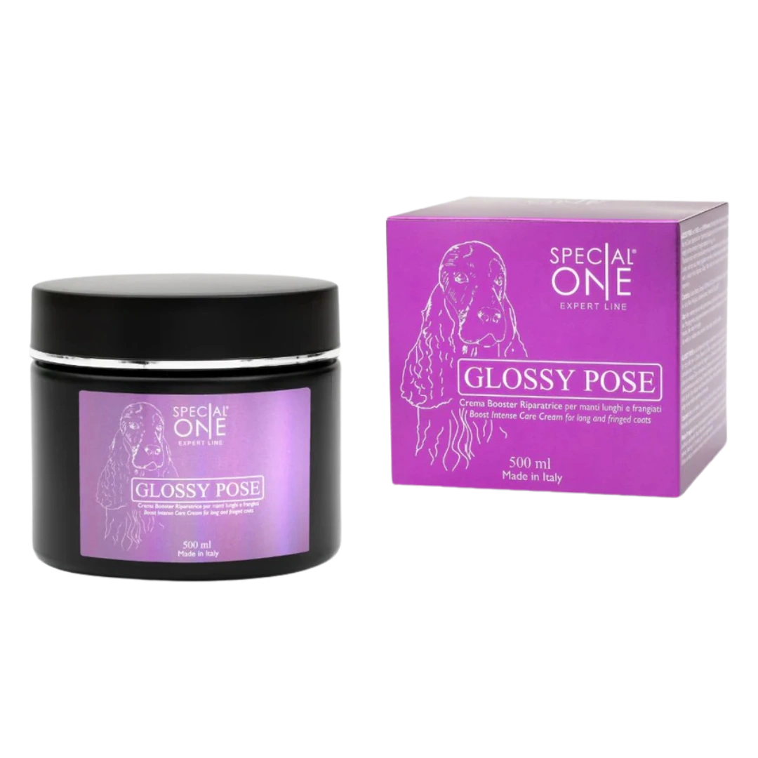 special-one-glossy-pose-500-ml