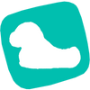 Slippers For Charity