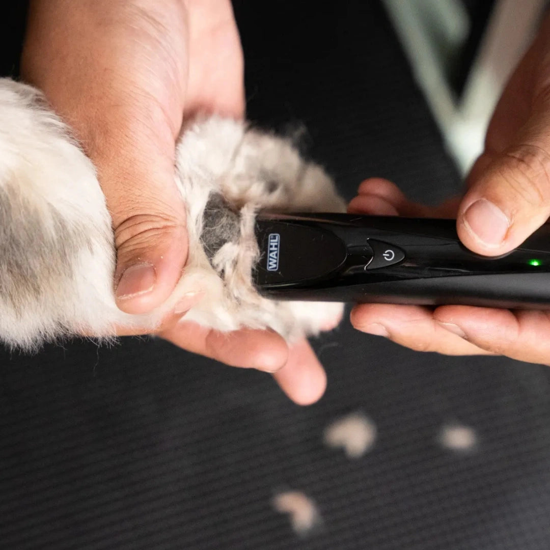 Fidela Cordless Trimmer by Wahl