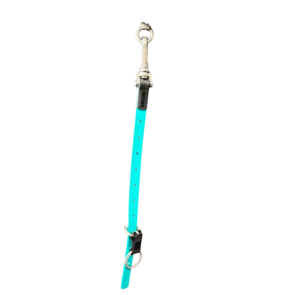 alpha-grooming-12-loop-extender-teal