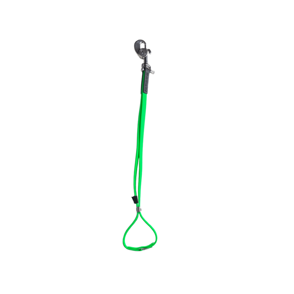 AXL Loop in Lime by Alpha Grooming