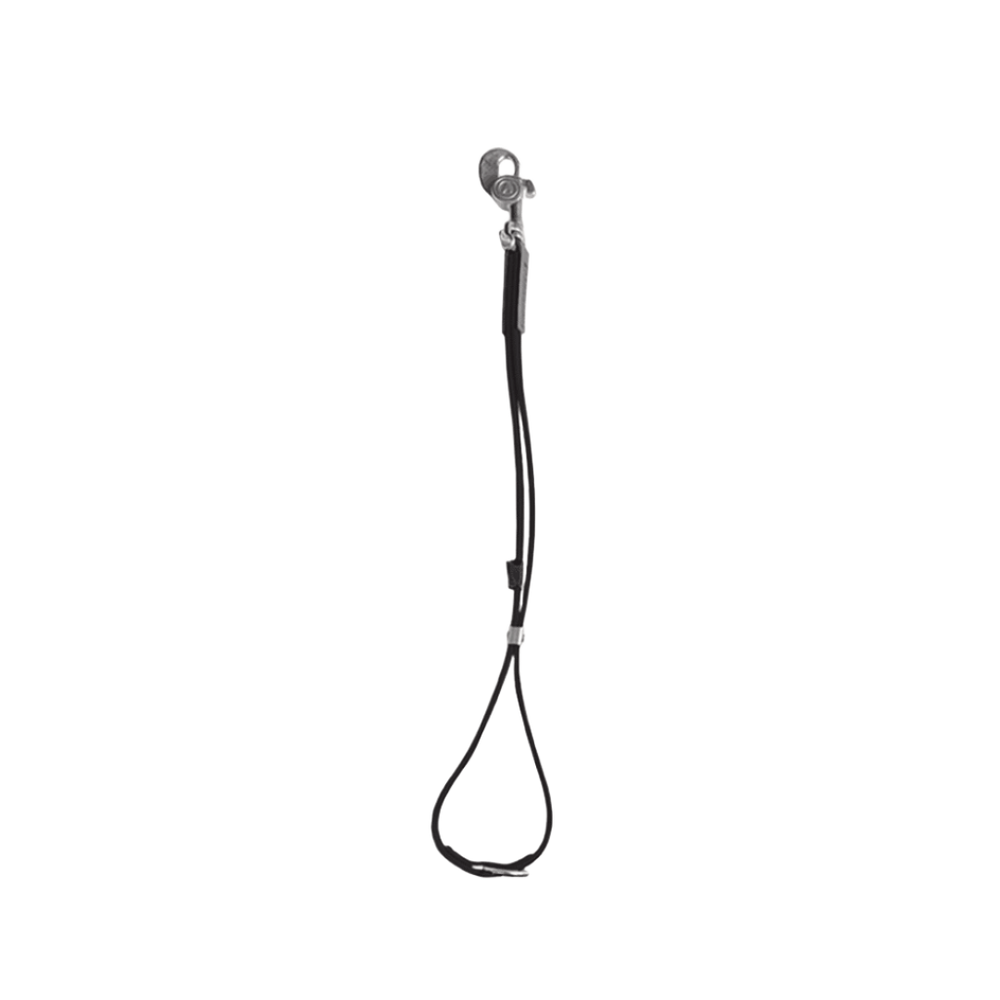 AXL Loop in Black by Alpha Grooming