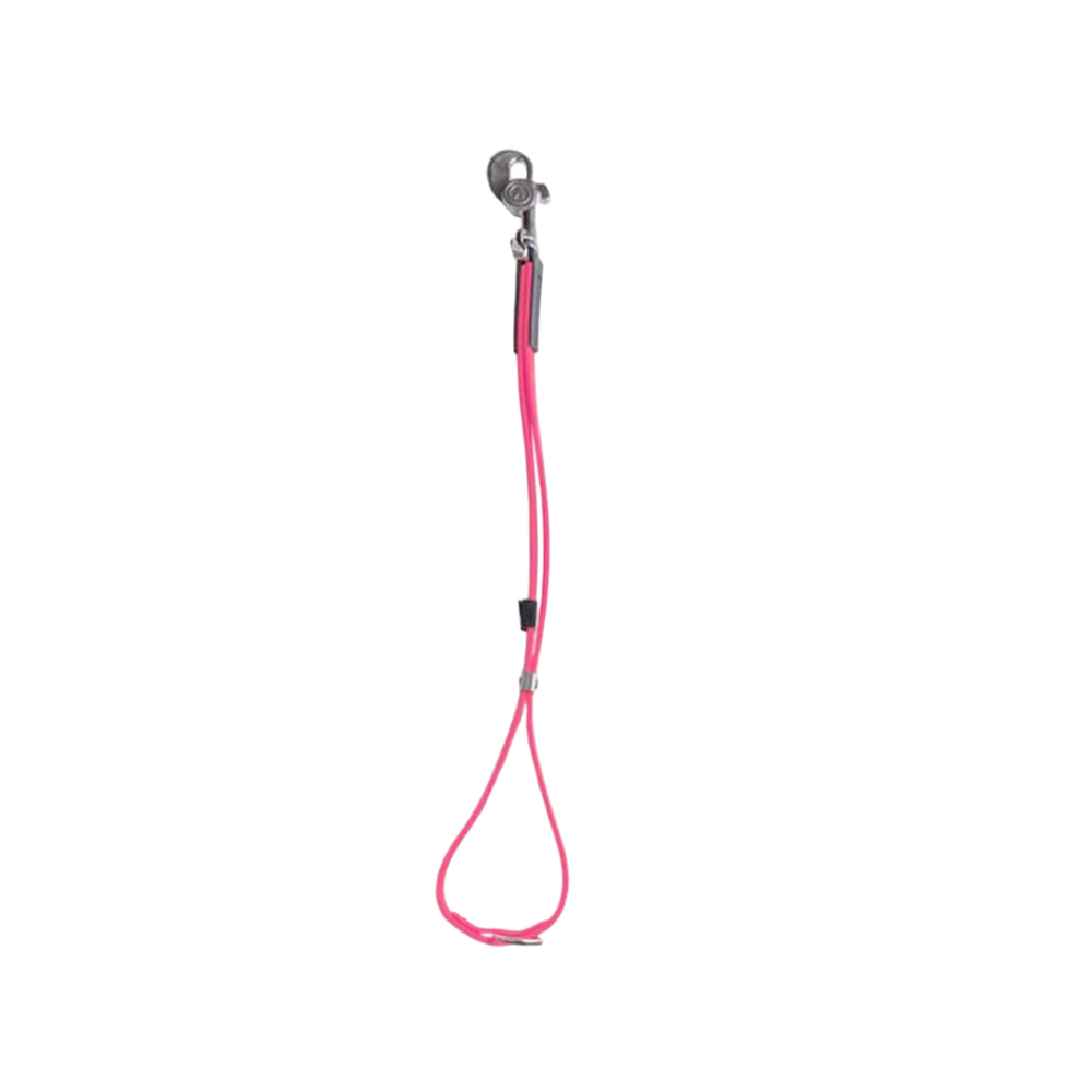 AXL Loop in Pink by Alpha Grooming