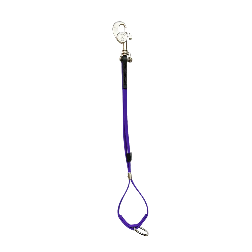 AXL Shorty Loop Violet by Alpha Grooming