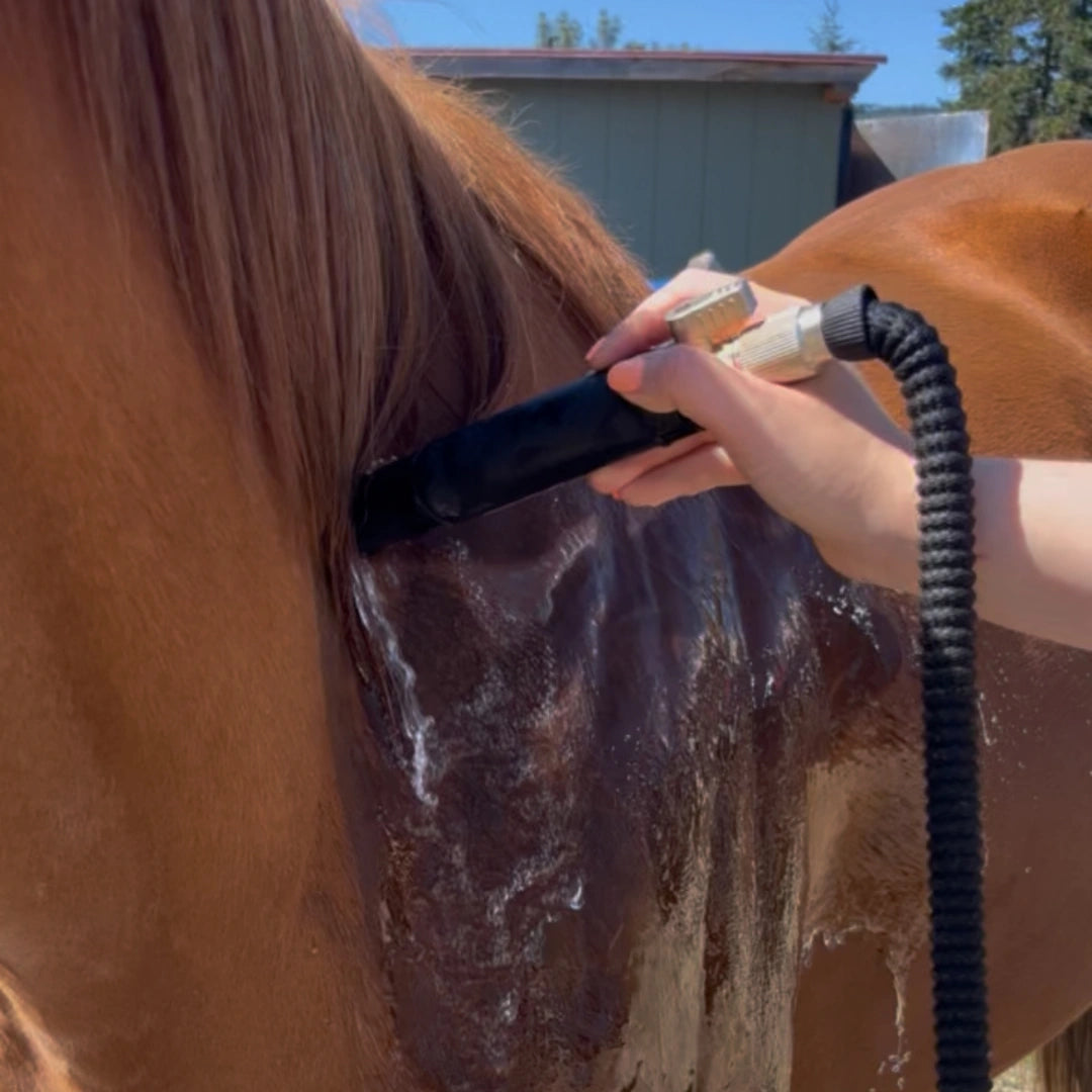 aquapulse-hydro-therapeutic-massage-nozzle-for-dogs