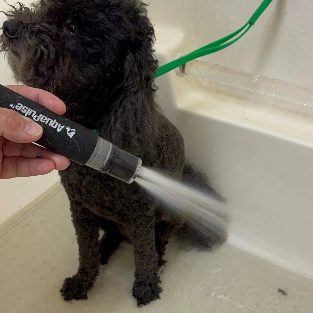 aquapulse-hydro-therapeutic-massage-nozzle-for-dogs