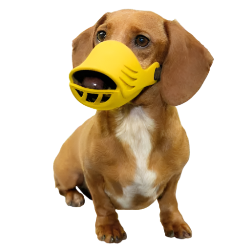 XL Silicone Muzzle for Dogs by Artero