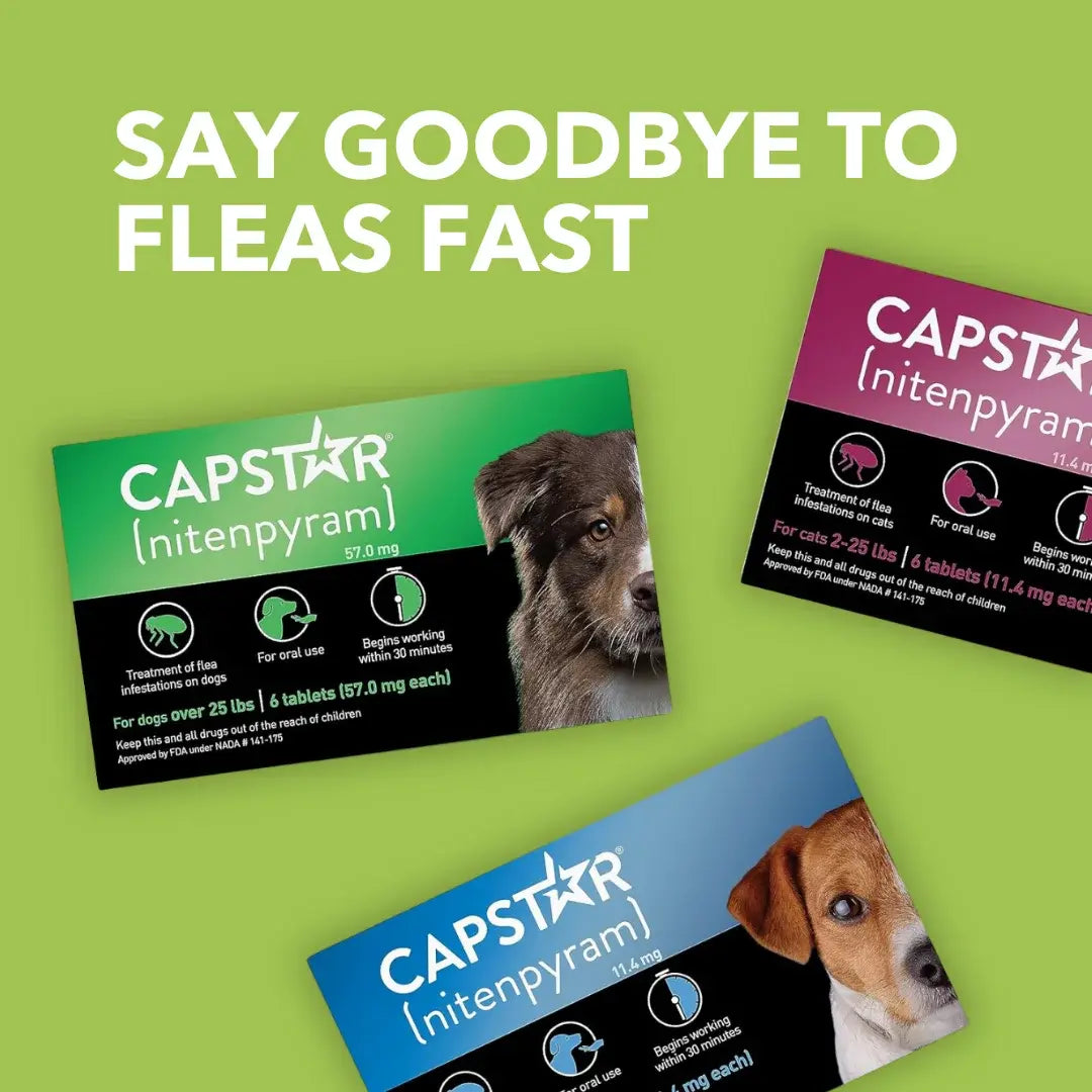 Pack of 6 Tablet For Flea Infestations Over 25Lb Dogs by Capstar