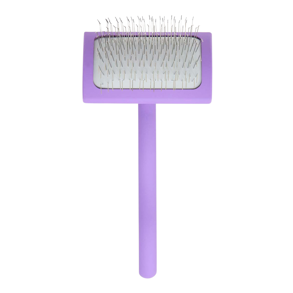 Big A Slicker Brush Medium/Purple by Chris Christensen