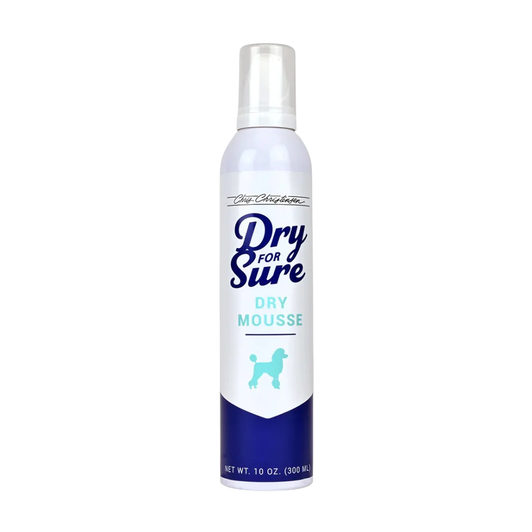 Dry For Sure Dry Mousse 10oz by Chris Christensen