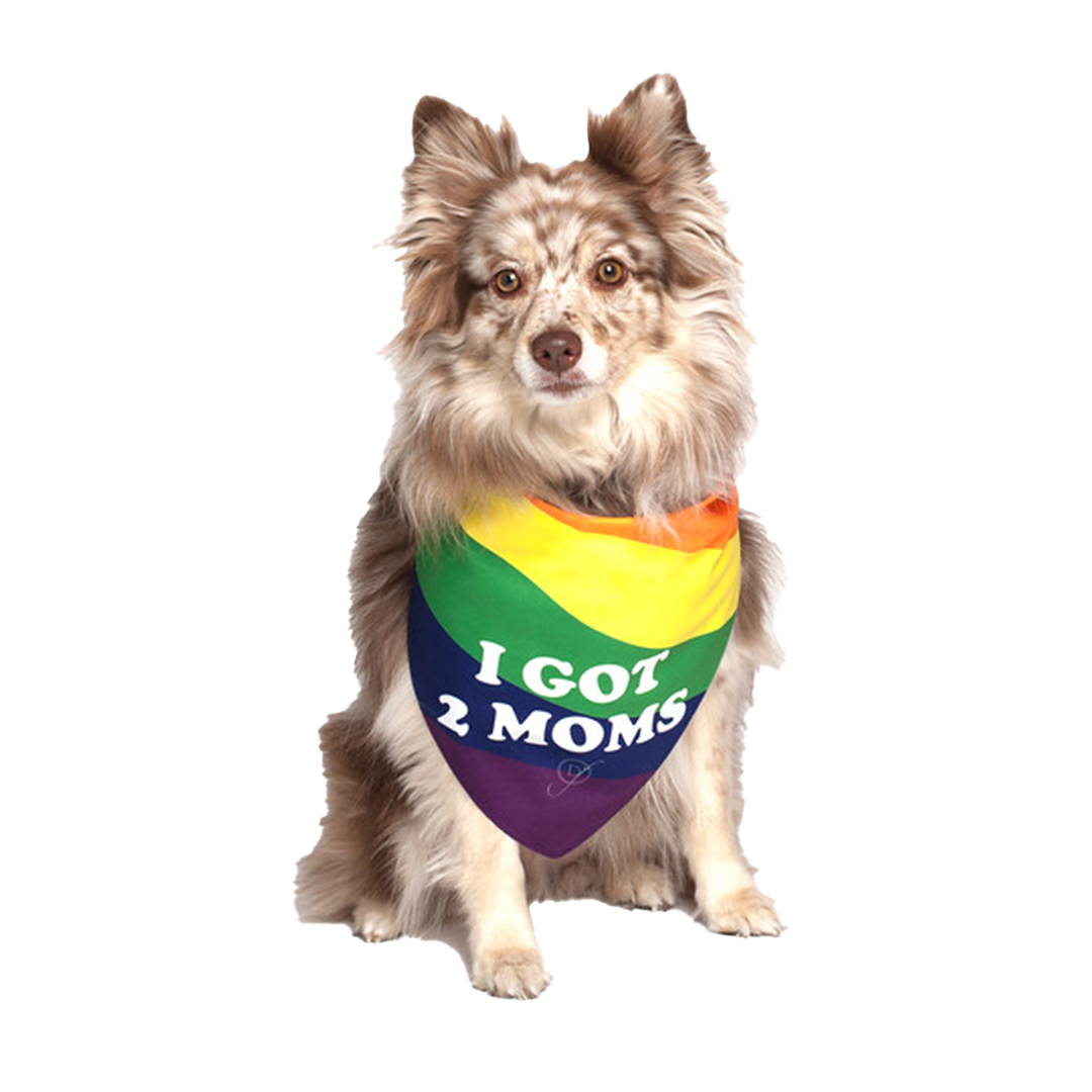 I got 2 Moms Gay Parade Dog Bandana by Dog Fashion Living