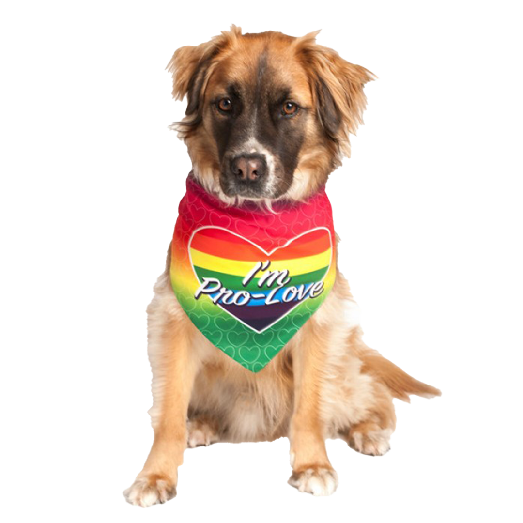 I'm Pro Love LGBTQ Dog Bandana by Dog Fashion Living