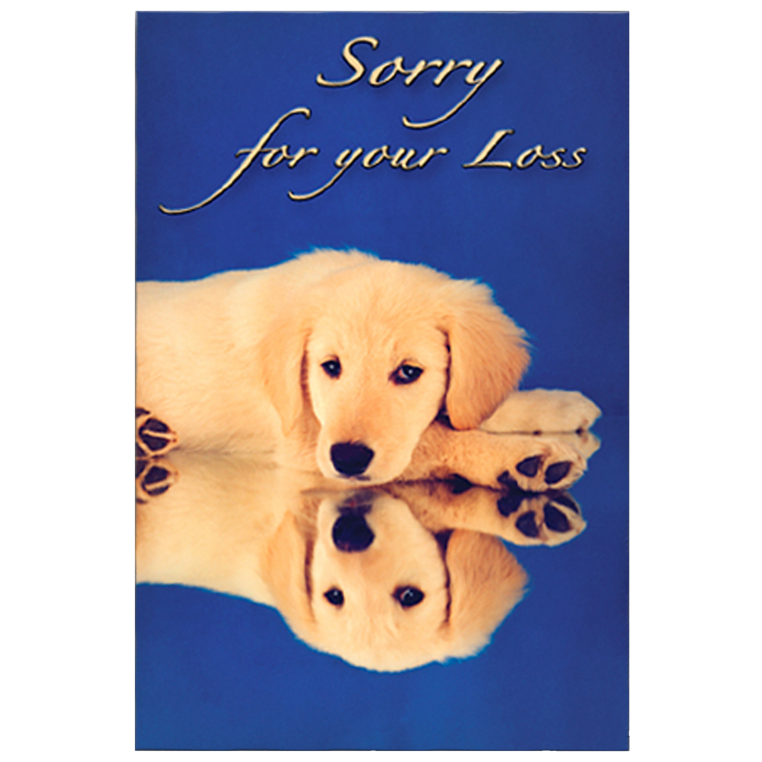 Sorry For Your Loss Golden Design Grievance Card by Dog Fashion Living