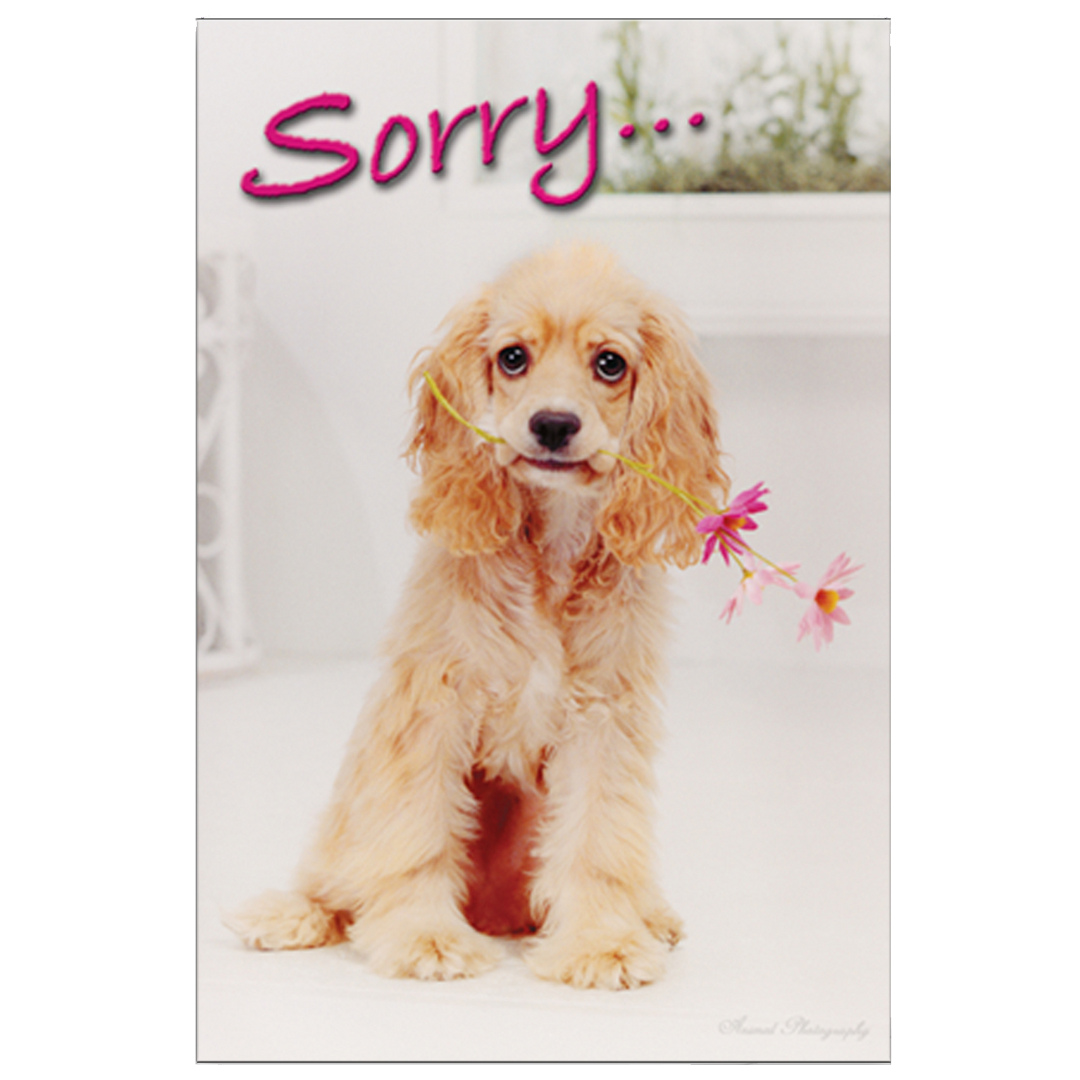 Sorry For Your Loss Grievance Card by Dog Fashion Living
