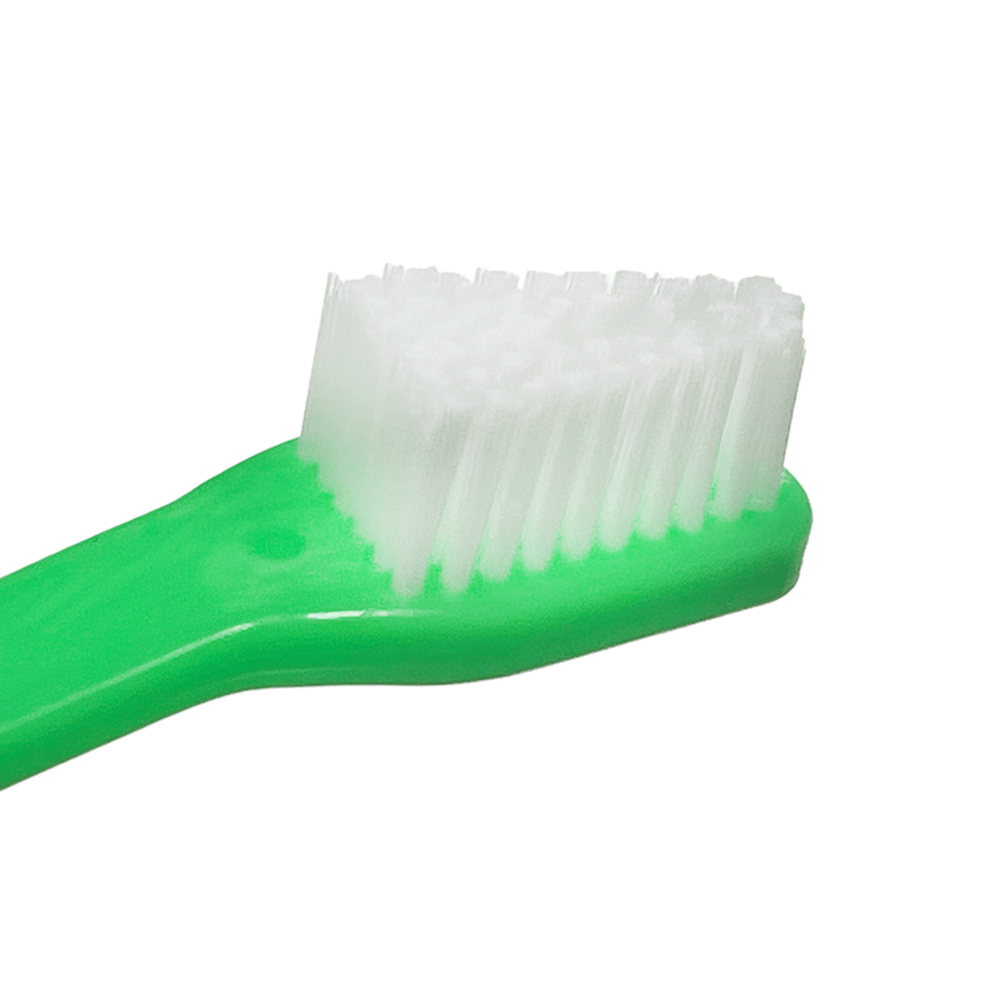 dual-end-tooth-brushes-30-count-by-petstore-direct