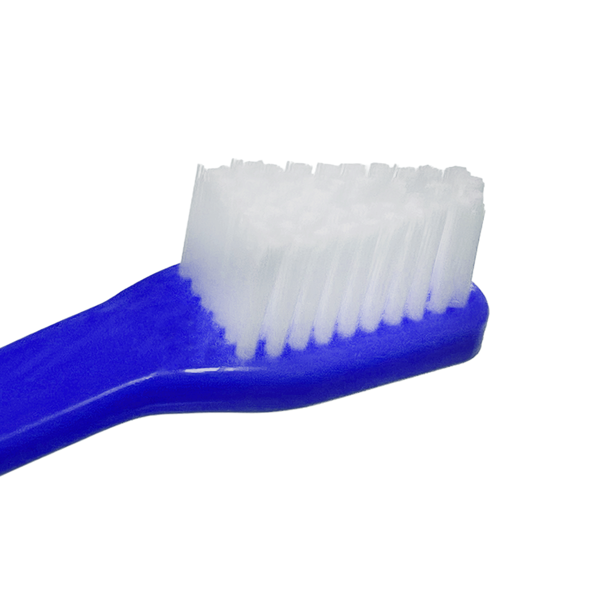 dual-end-tooth-brushes-30-count-by-petstore-direct