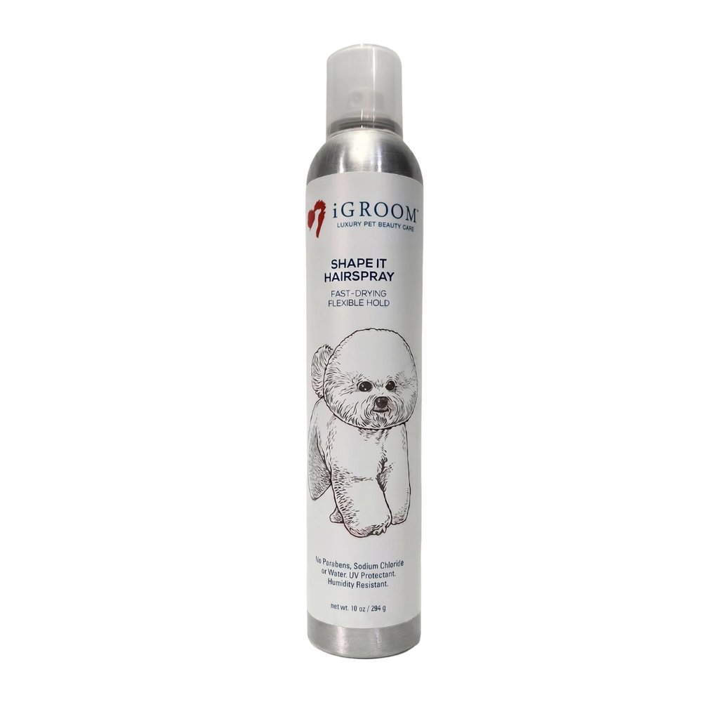 igroom-shape-it-hairspray-10-oz