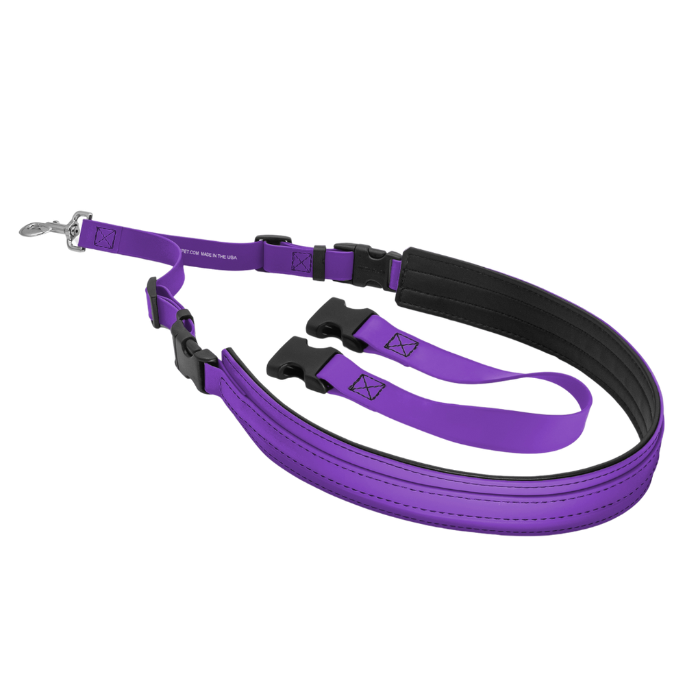 Belly Loop Purple by Jelly Pet