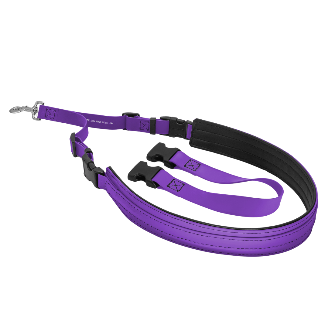 Belly Loop Purple by Jelly Pet