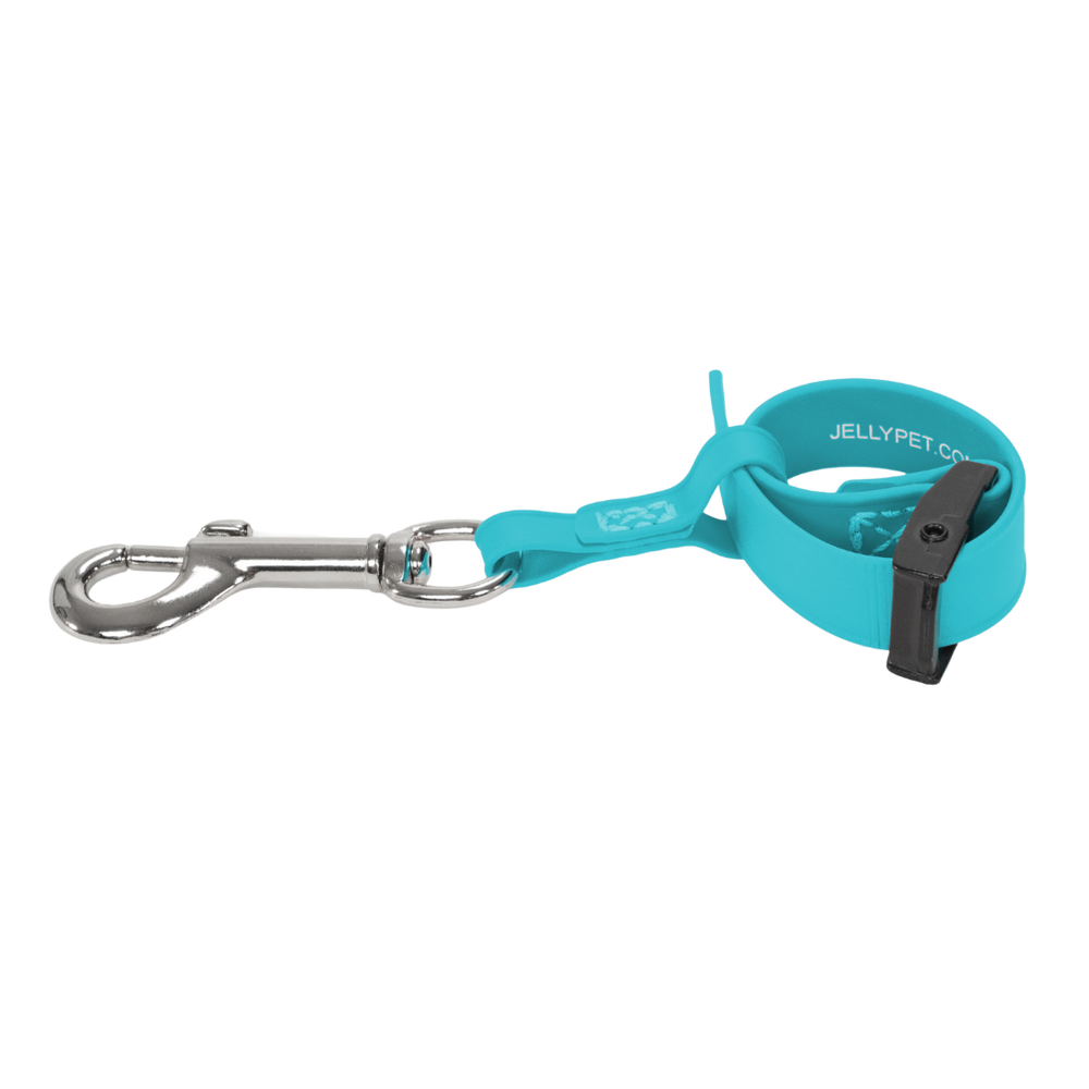 jelly-pet-safety-tether-teal