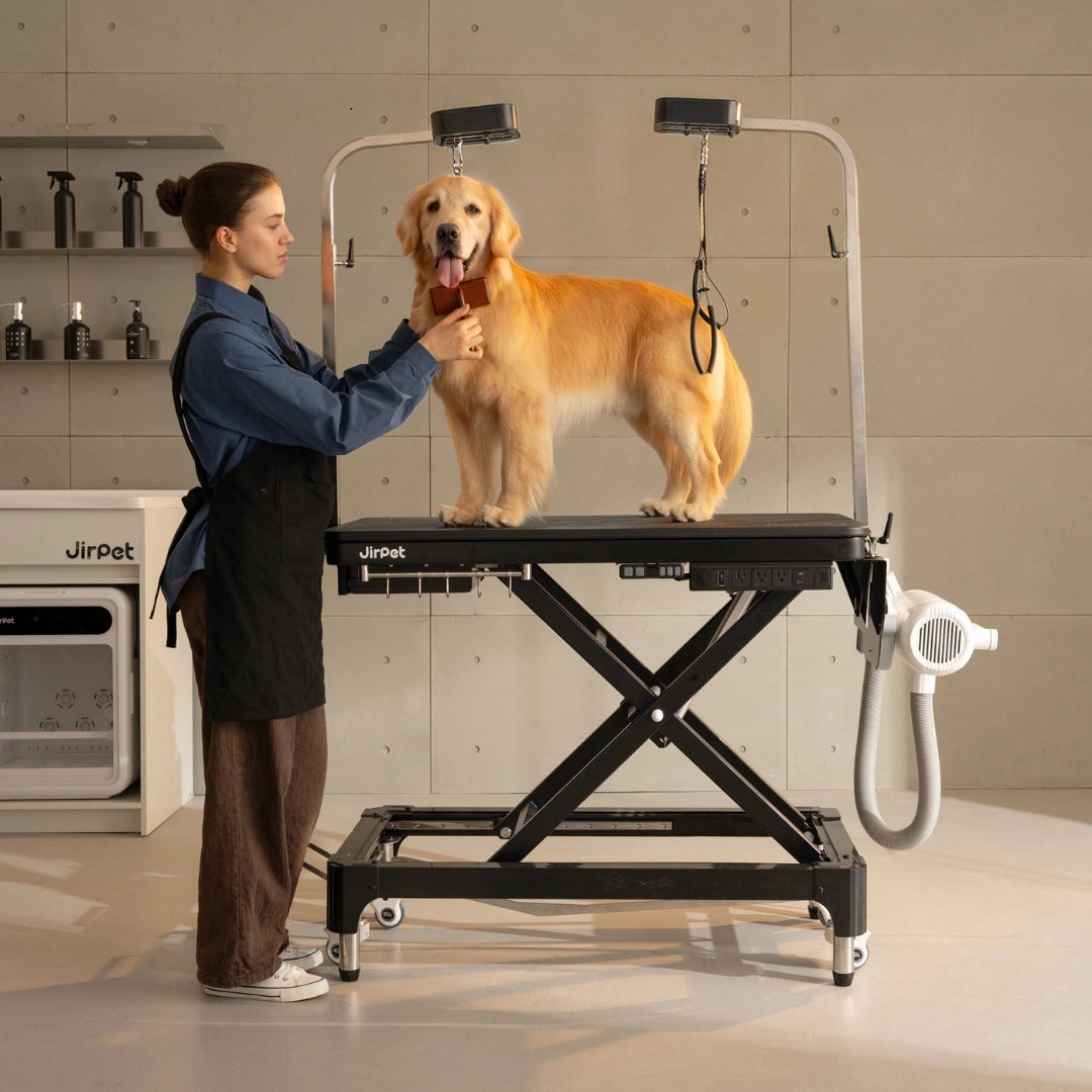 jirpet-atlas-electric-grooming-table-with-adjustable-height-led-arm