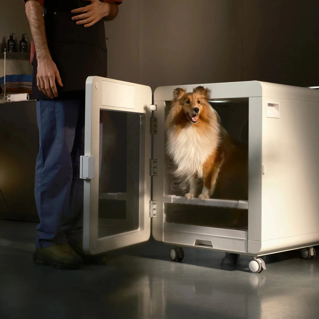 jirpet-c7s-cabin-dryer