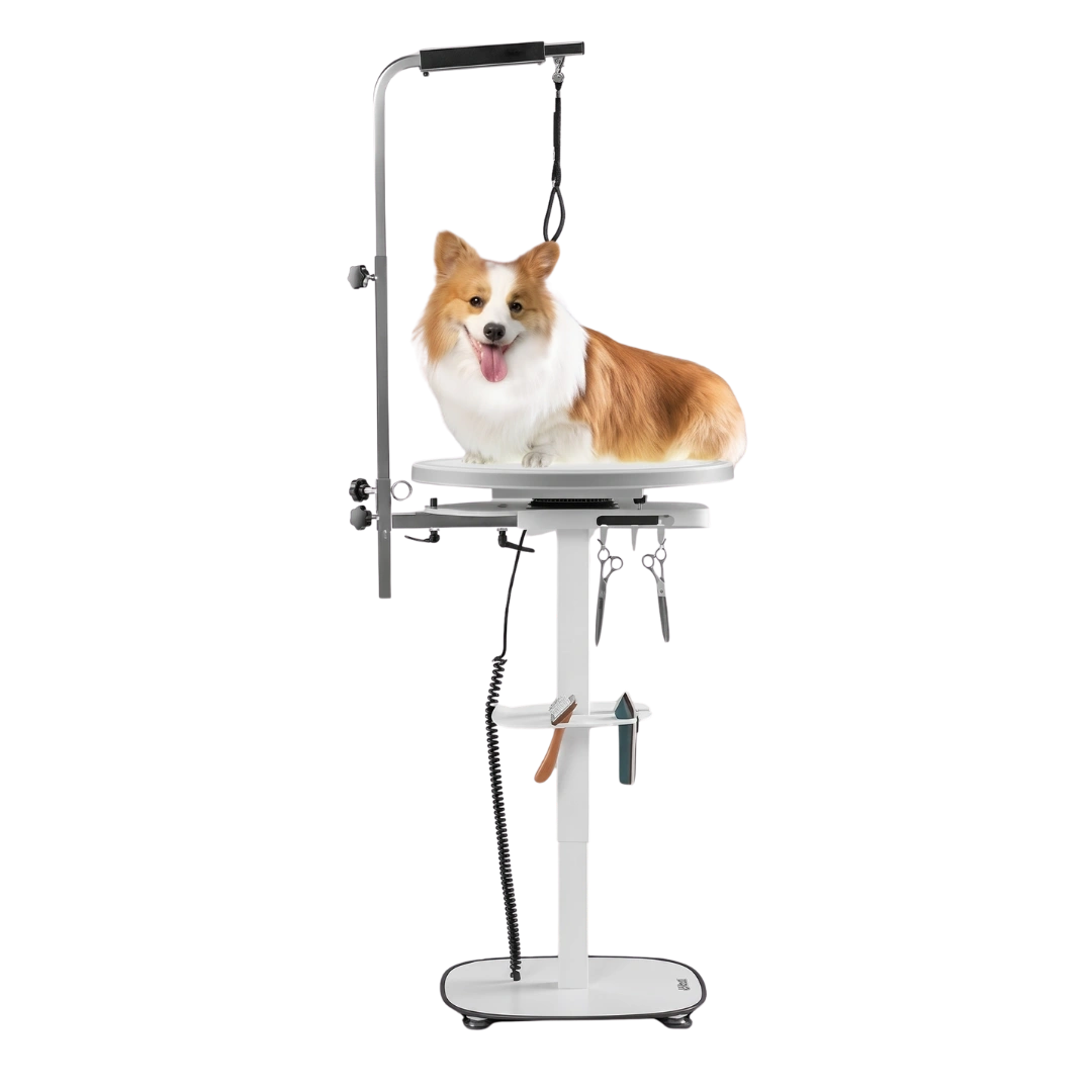 jirpet-radiant360-rotating-360-electric-grooming-table-with-led-light