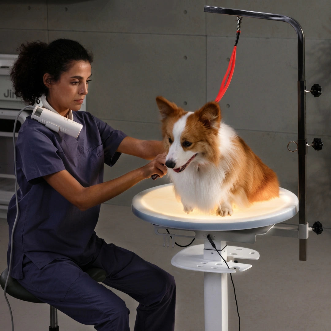 jirpet-revolve360-hydraulic-360-rotating-grooming-table-with-tabletop-light