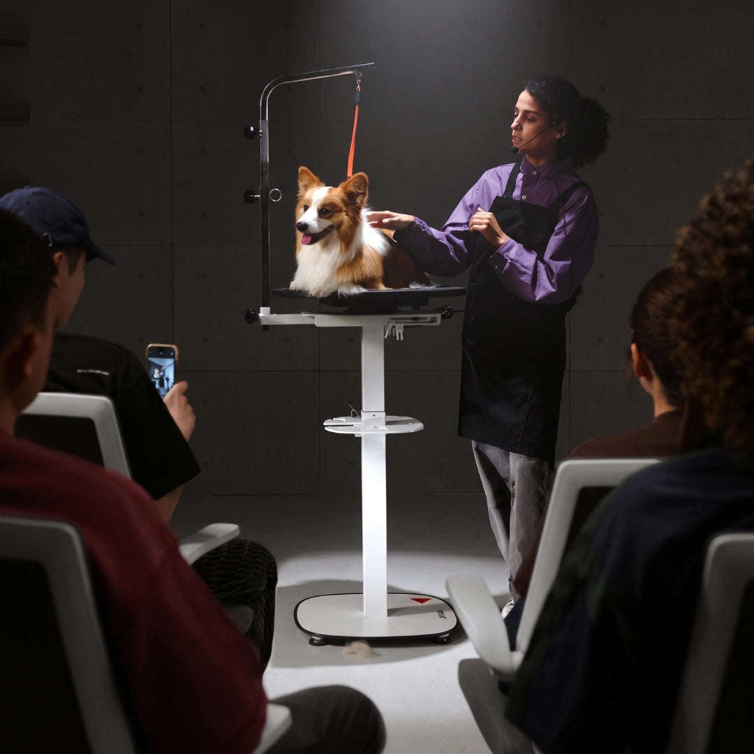  jirpet-rotique360-hydraulic-360-rotating-grooming-table-for-small-to-medium-pets