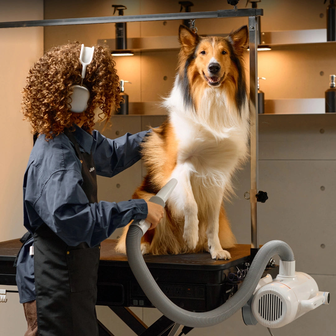 jirpet-twin-triton-i-unheated-force-dryer