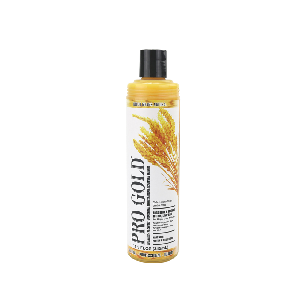 Pro Gold 50:1 Shampoo 11oz by Kelco