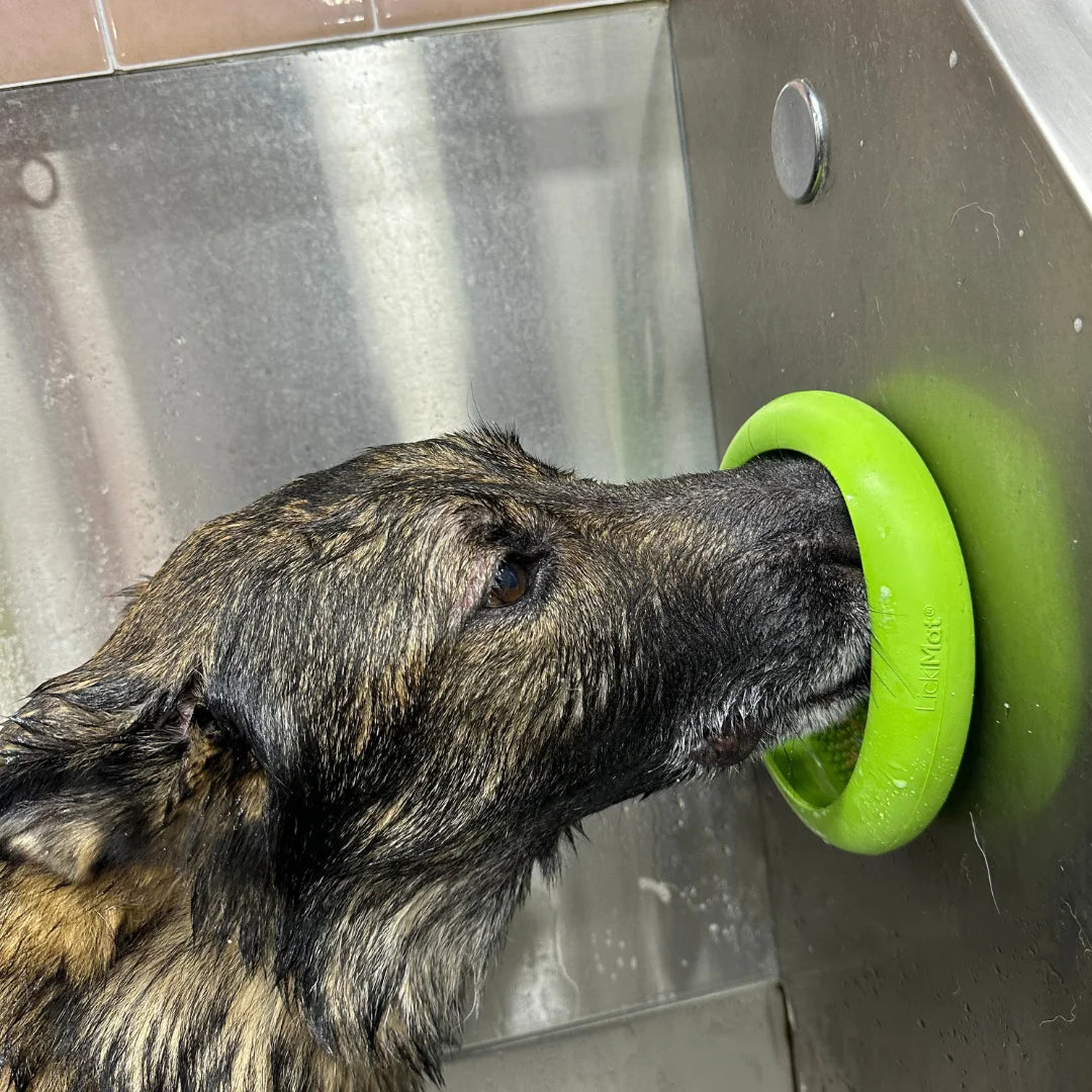 UFO Slow Feeder Dog Bowl Green by LickiMat