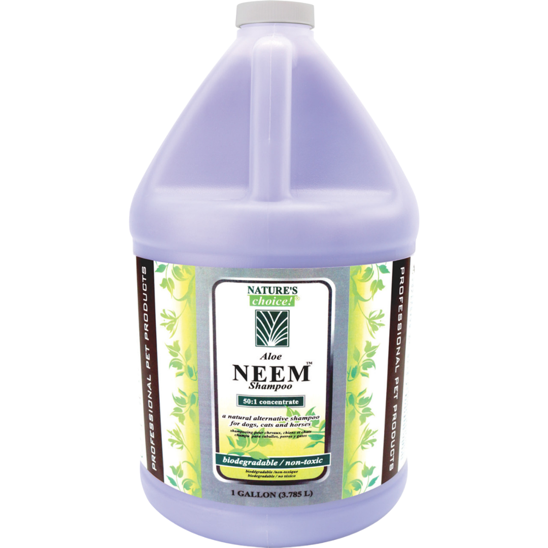 Aloe Neem Shampoo 50:1 Gallon by Nature's Choice