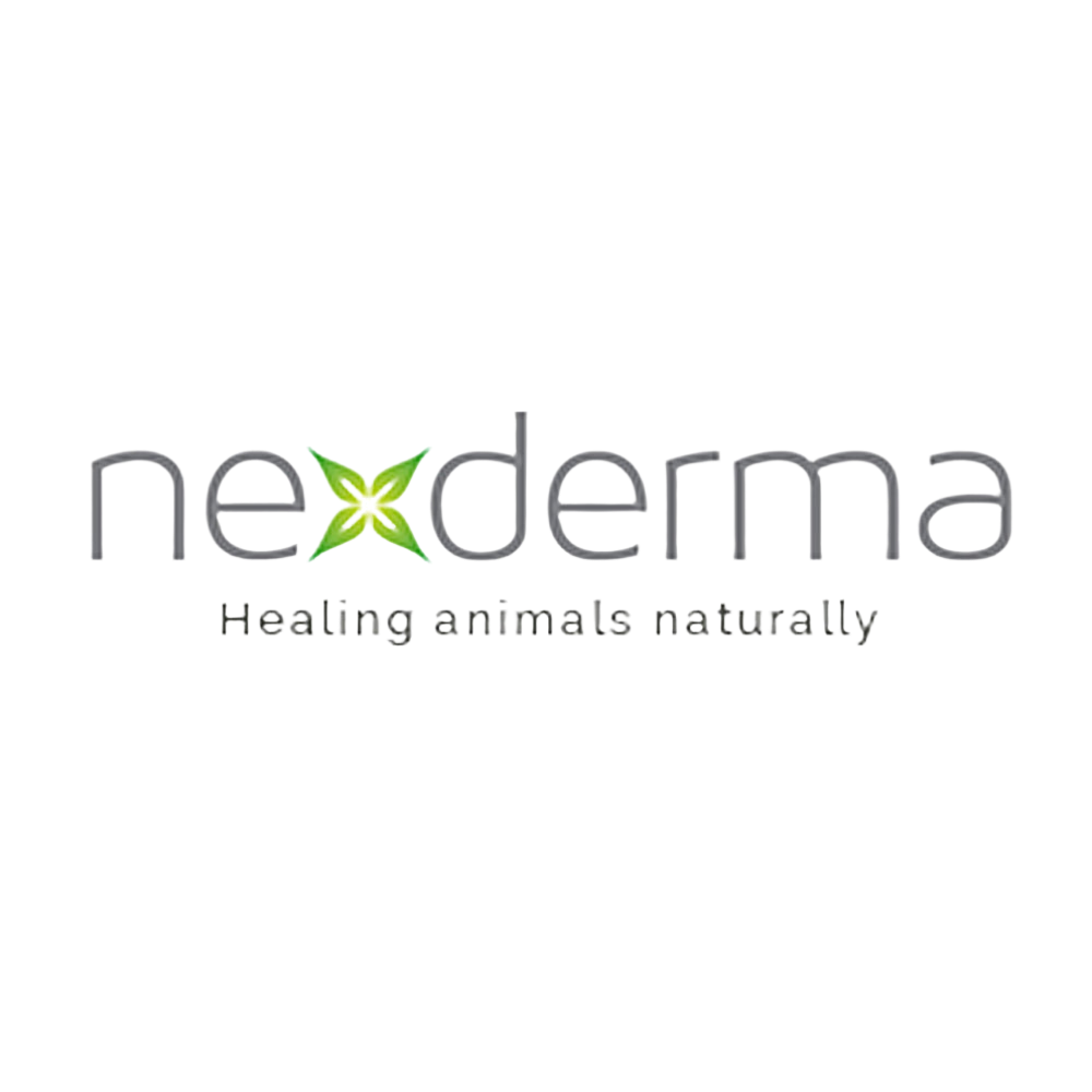 Cherry Blossom Deep Moisturizing Shampoo 16oz by Nexderma