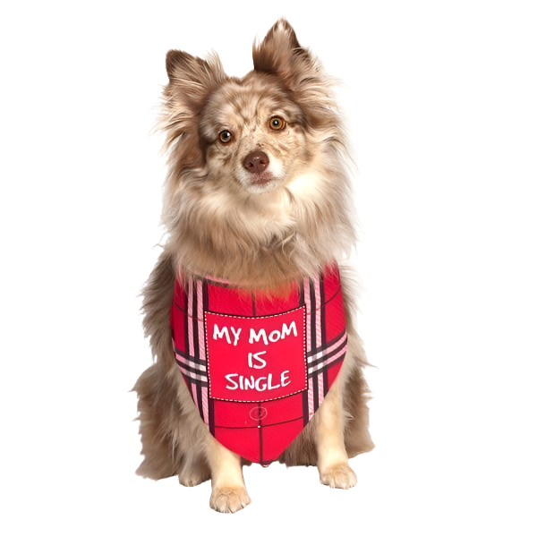 My Mom Is Single Dog Bandana by Dog Fashion Living