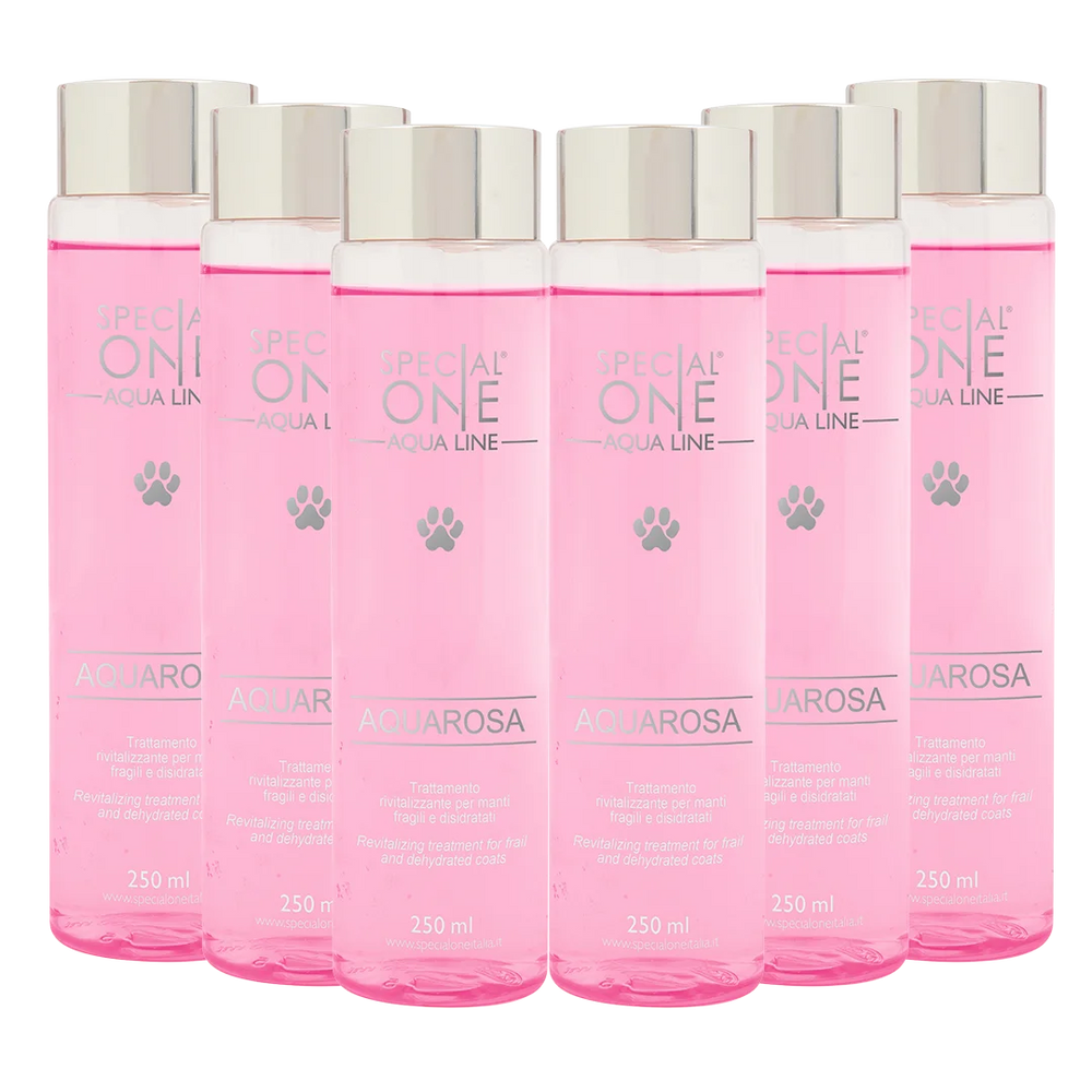 Aquarosa Box of 6 250ml by Special One